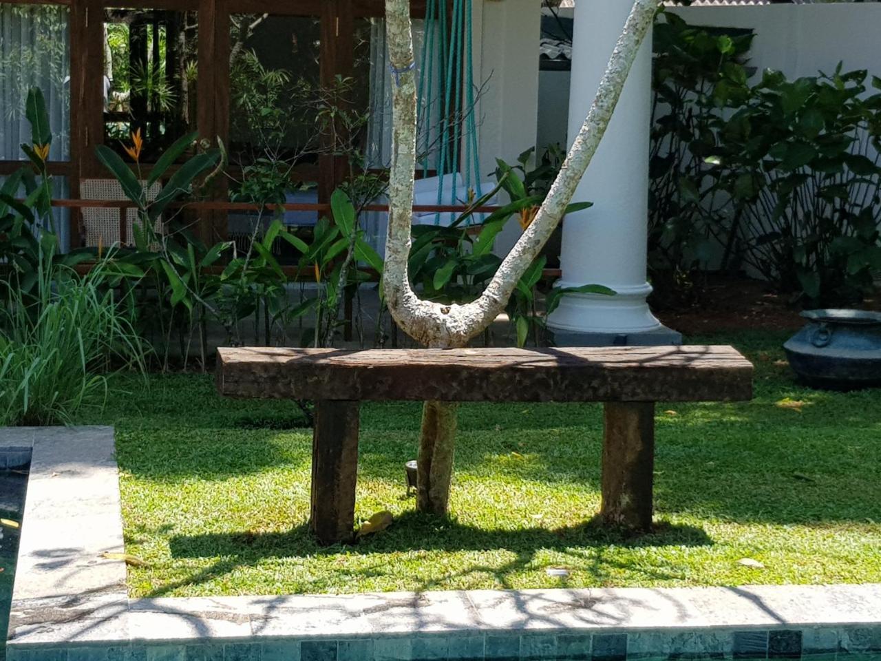Bilin Tree House Hotel Galle Kültér fotó