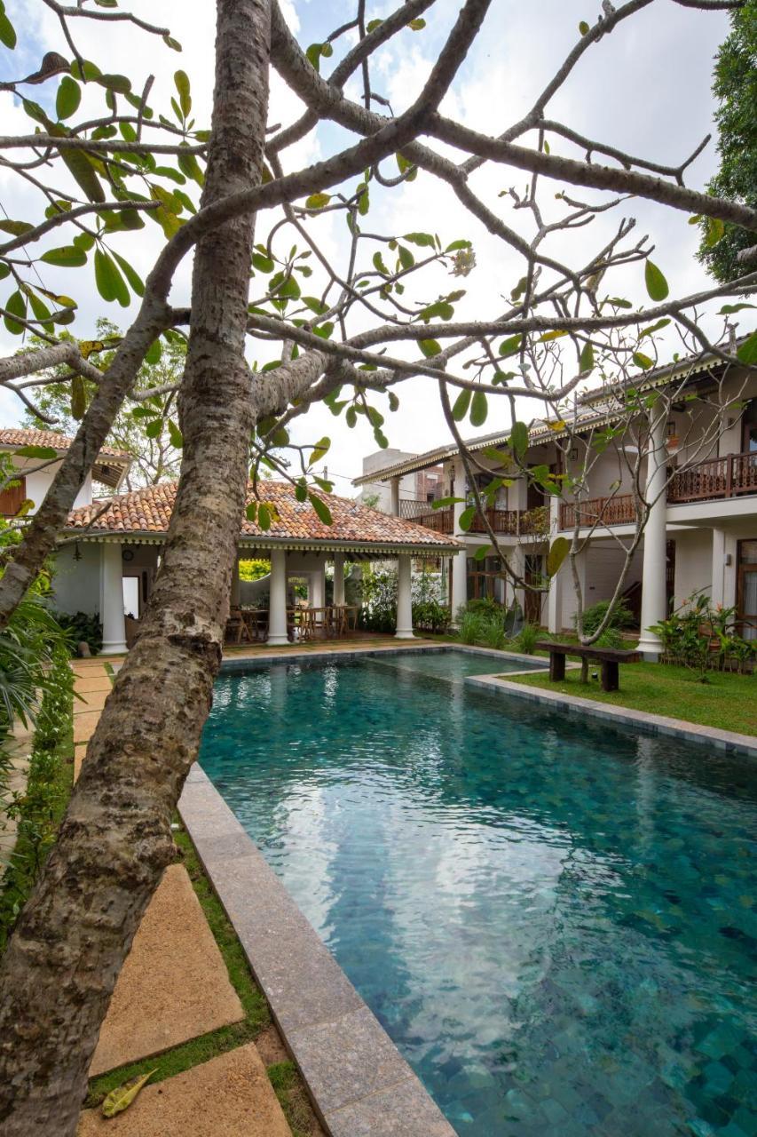 Bilin Tree House Hotel Galle Kültér fotó