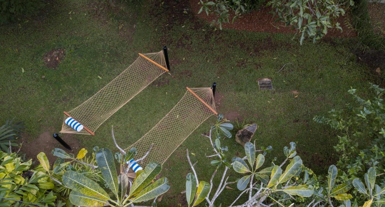 Bilin Tree House Hotel Galle Kültér fotó
